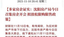 沈阳爆料最新消息新闻,聚焦城市动态与热点事件